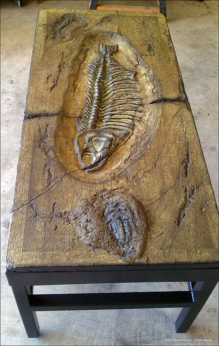 Damschroder, table, fossil