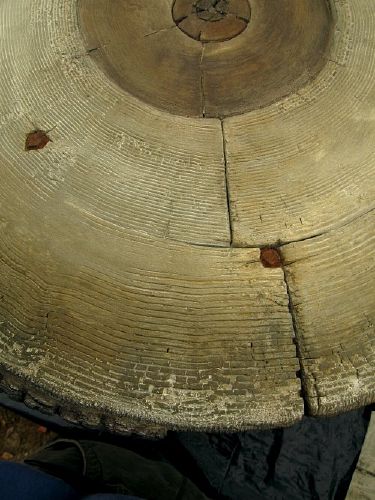 Tucker, concrete garden table